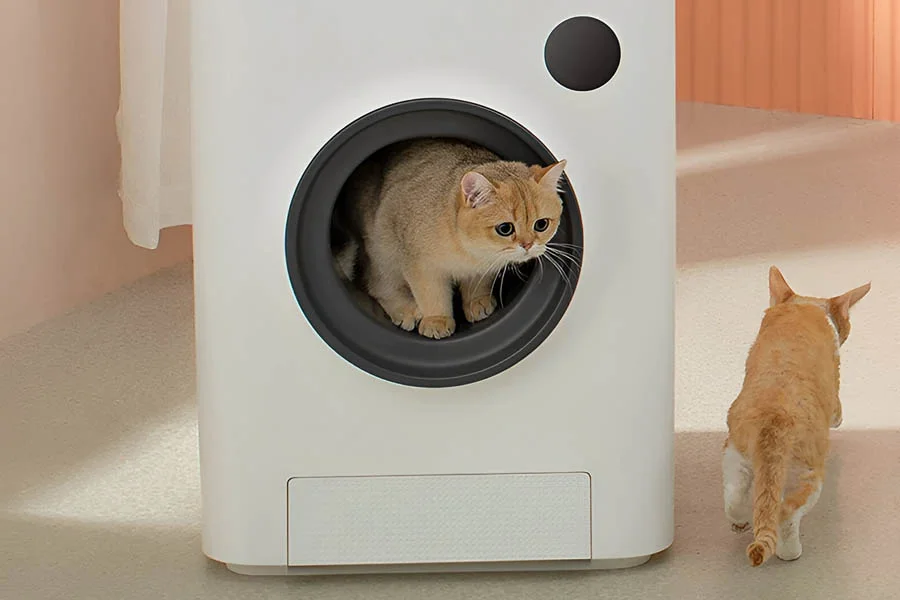 cat litter box automatic