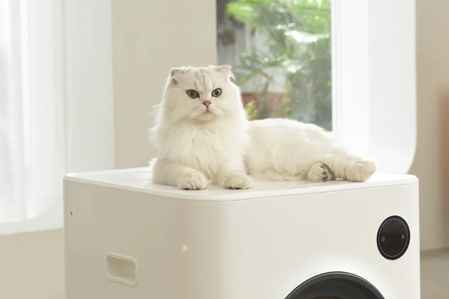 best self cleaning litter box for multiple cats